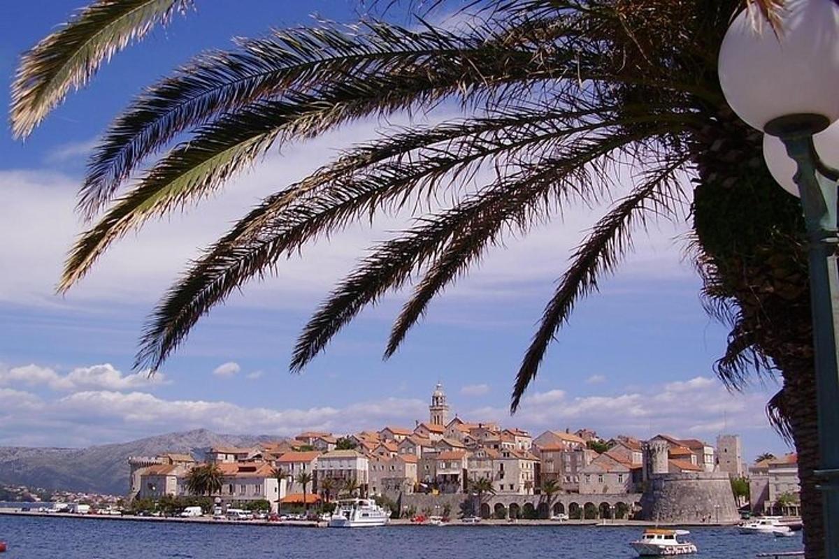 palma sedící vedle vodní plochy