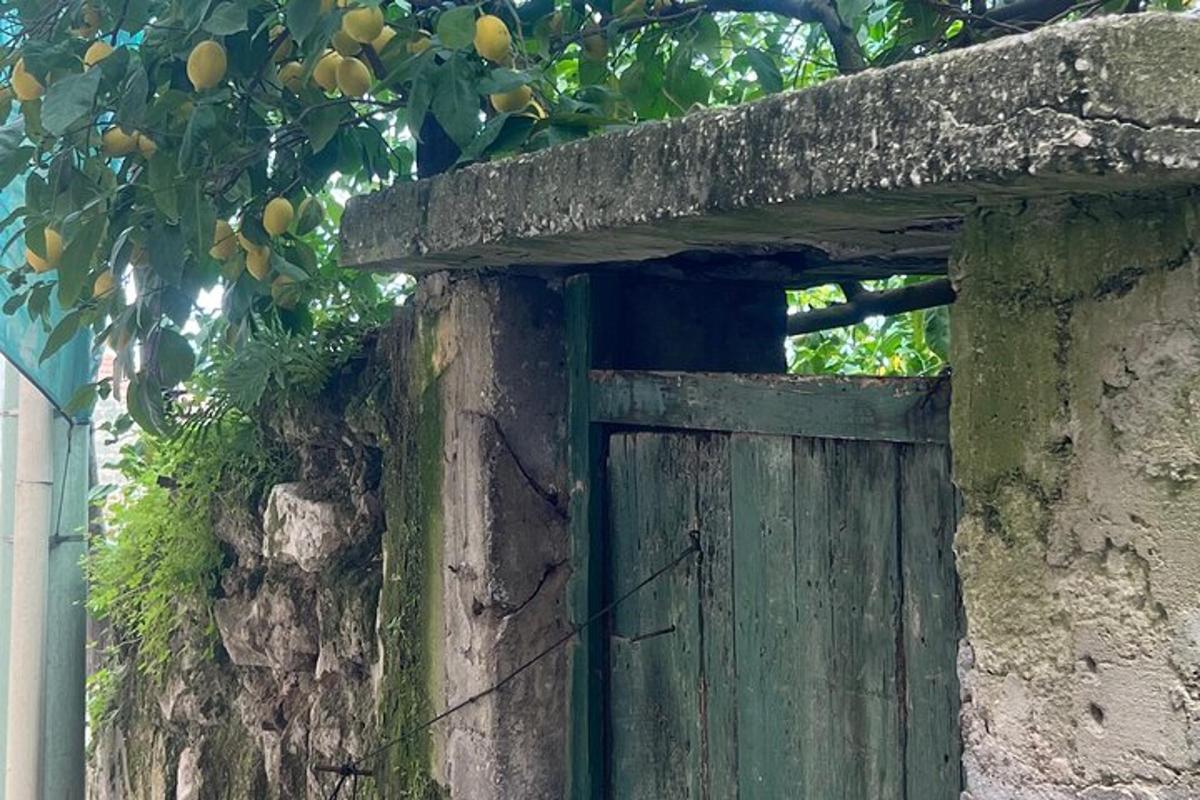 isang lumang kahoy na pinto sa isang batong pader na may puno