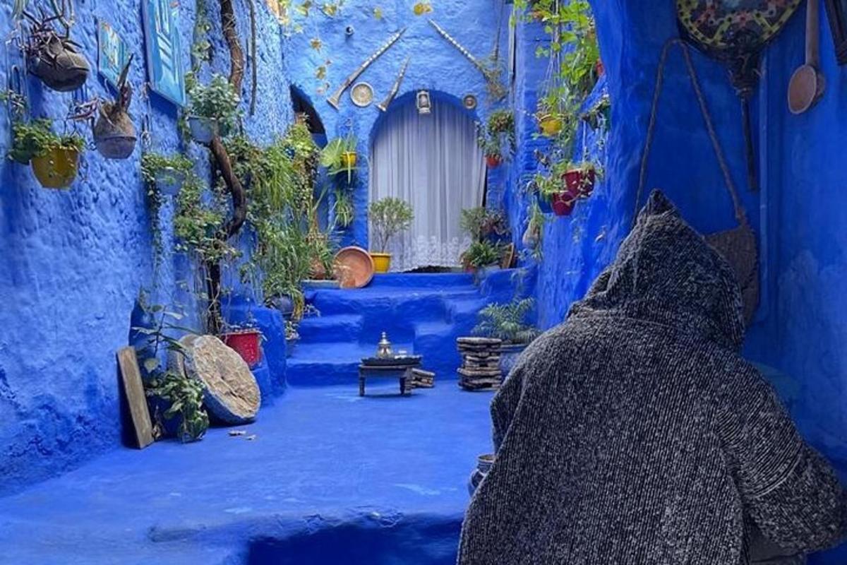 sebuah bilik dengan dinding biru dan lantai biru dengan tumbuhan
