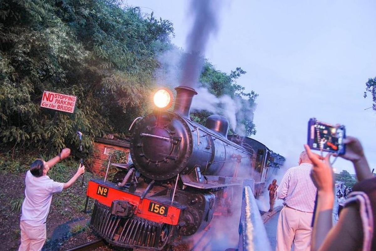 a group of people taking pictures of a train