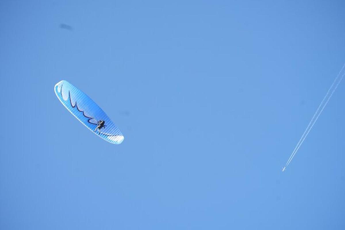 a kite flying in the sky