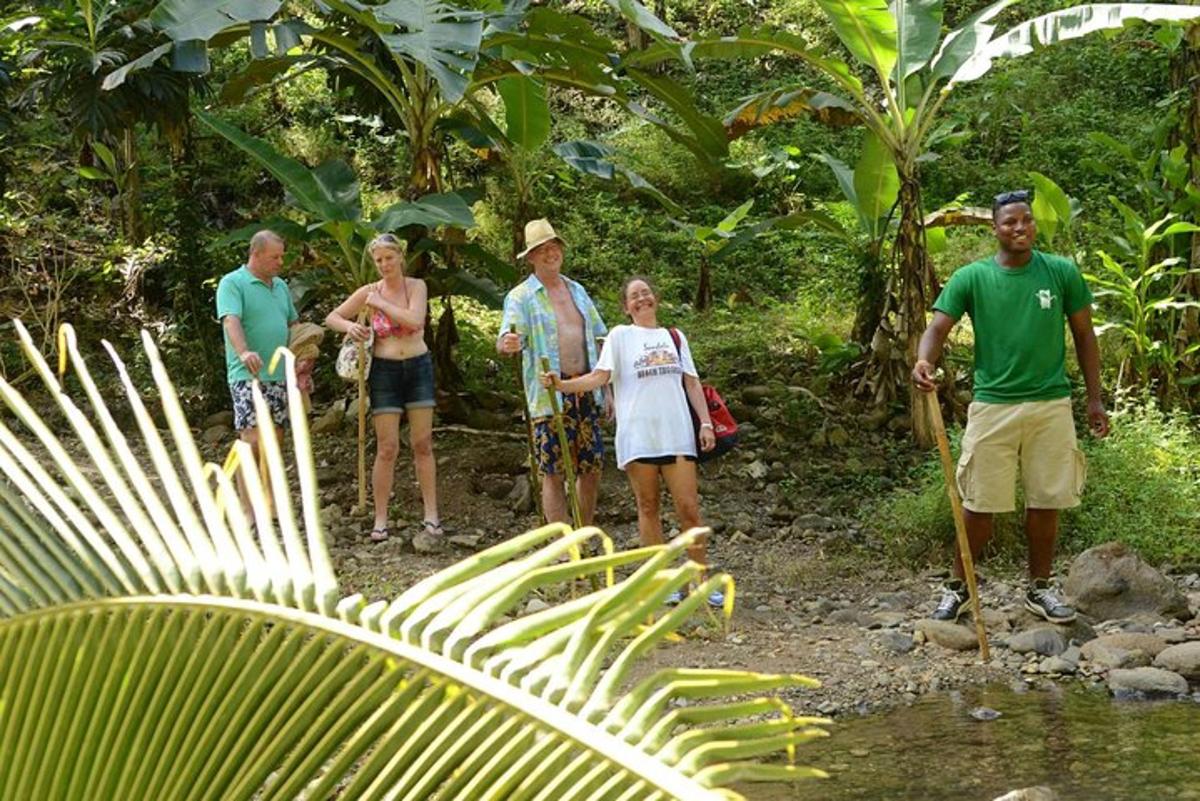 a group of people standing on a trail in the jungle