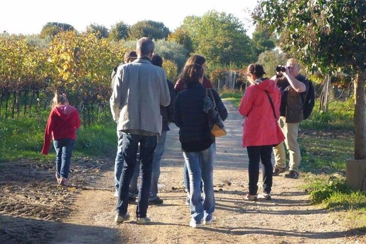 a group of people walking down a dirt road