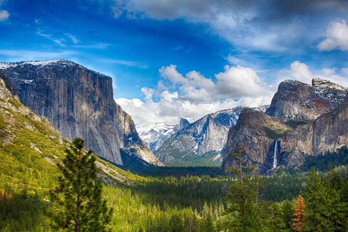 a view of a valley with mountains and trees