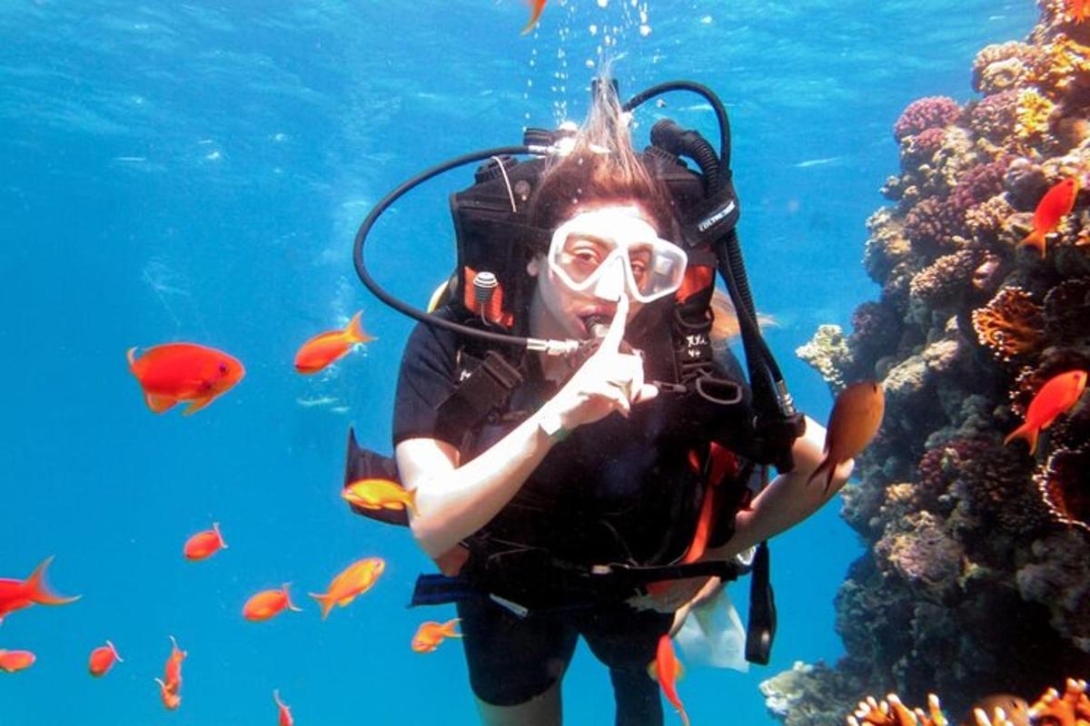 una donna con attrezzatura da sub nell'oceano