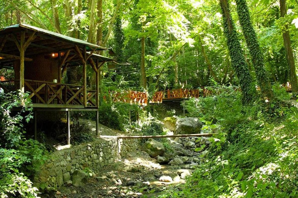 una capanna nel bosco con un ponte sopra un ruscello