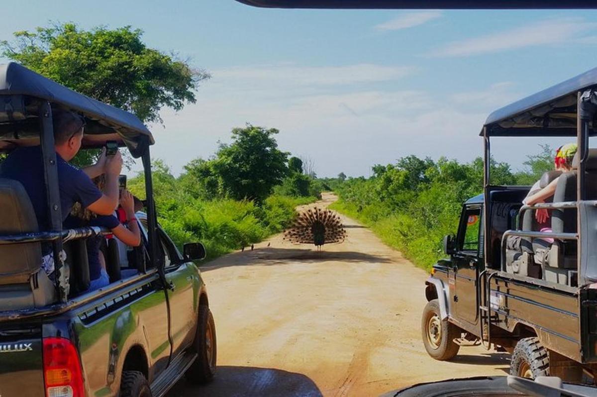 un gruppo di persone che viaggiano in jeep su una strada sterrata