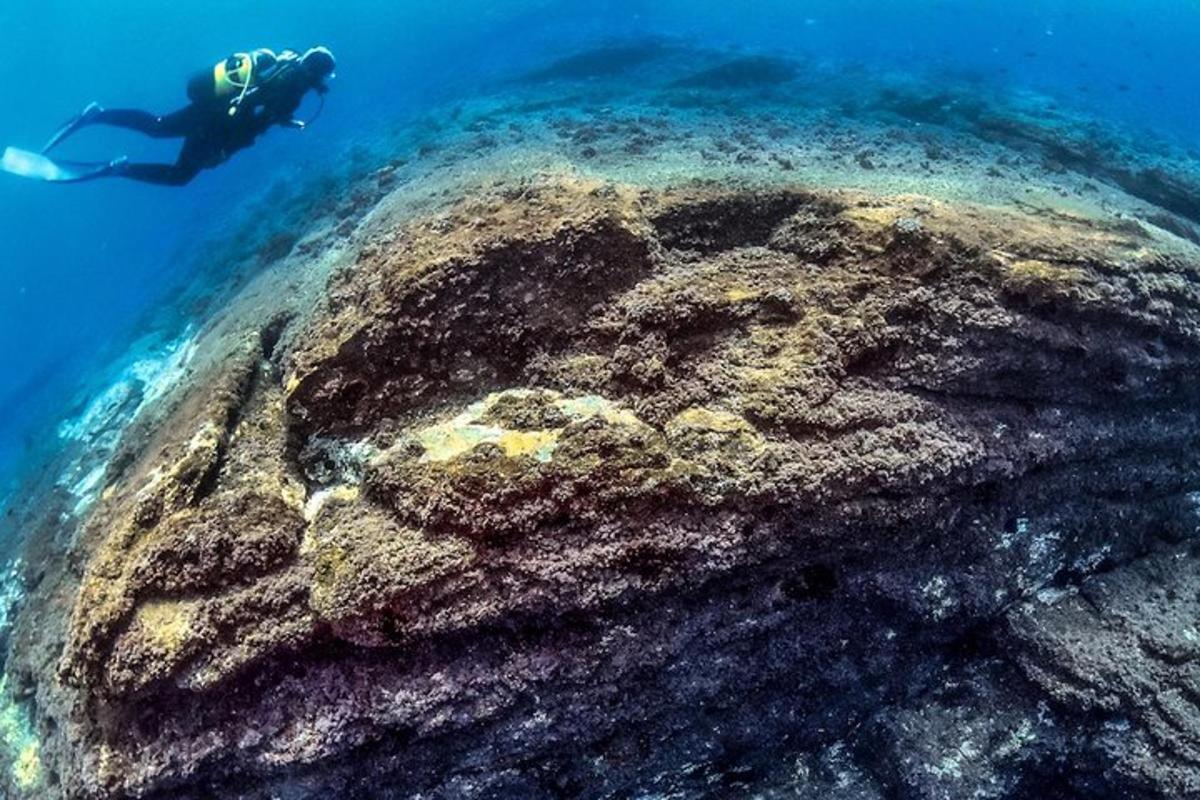 a person in the ocean next to a reef