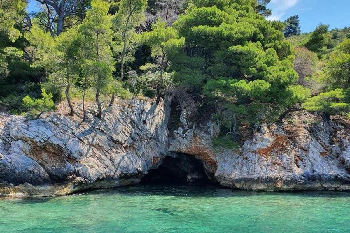 μια σπηλιά στη μέση του νερού με δέντρα