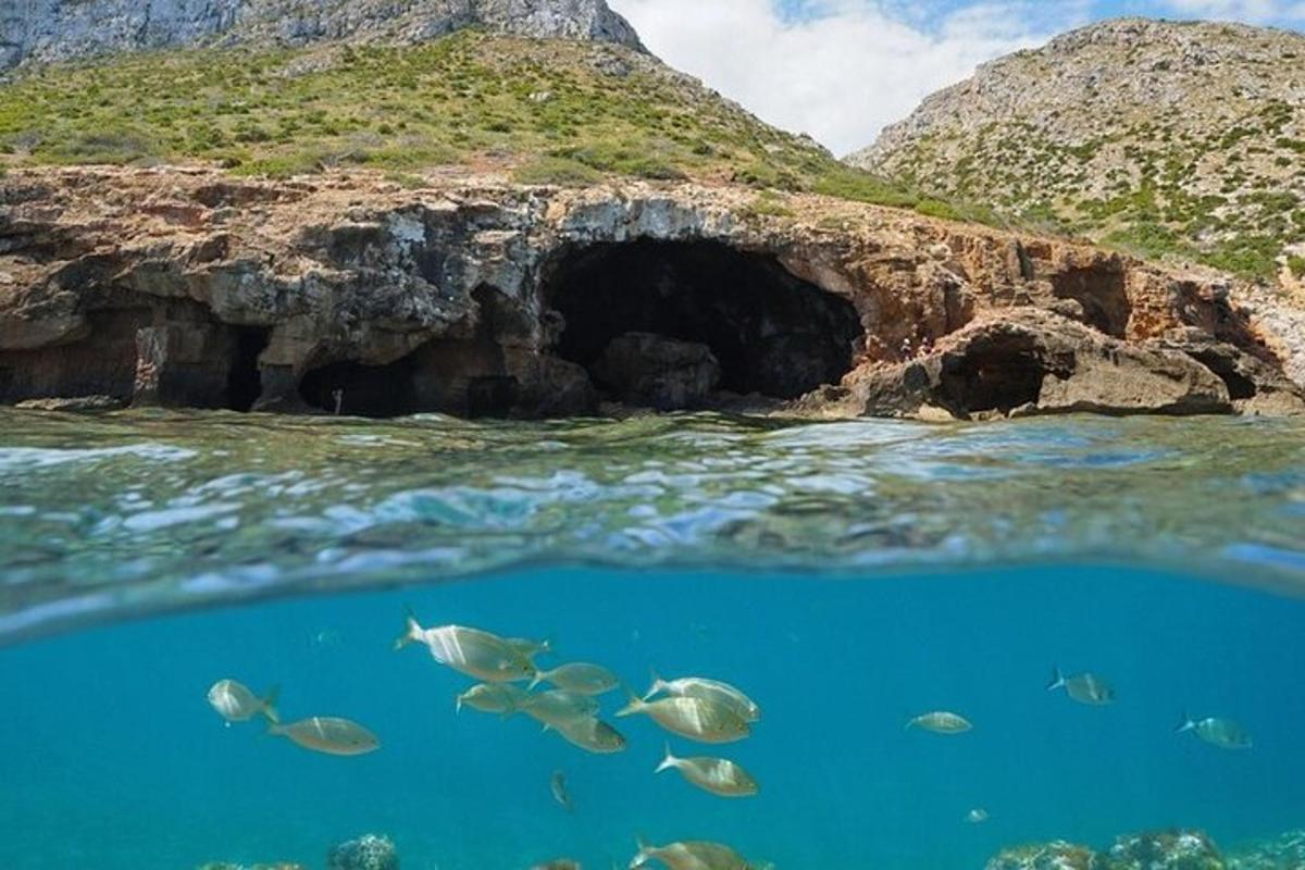 un gruppo di pesci nell'acqua di fronte a una grotta
