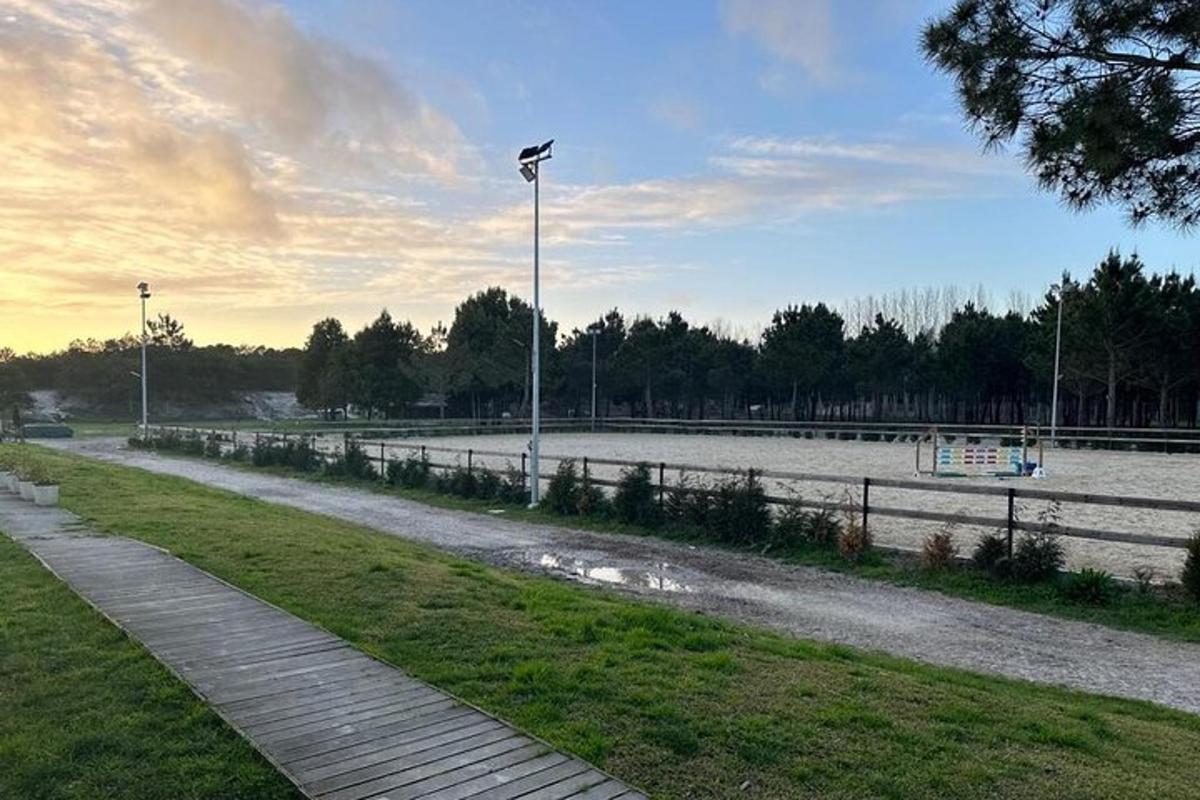 un parco con un lampione e uno specchio d'acqua