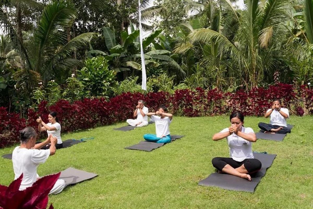 a group of people doing yoga in the grass