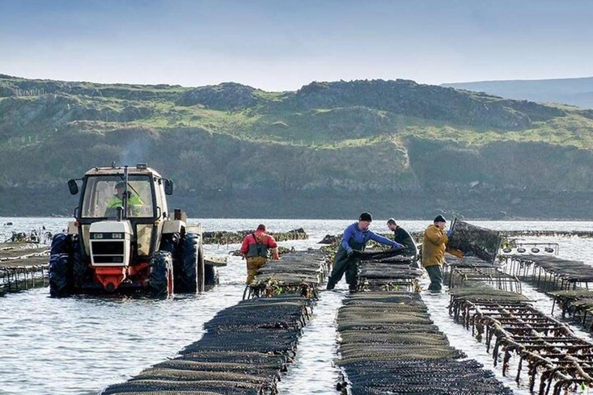 a group of people working on a pier with a tractor