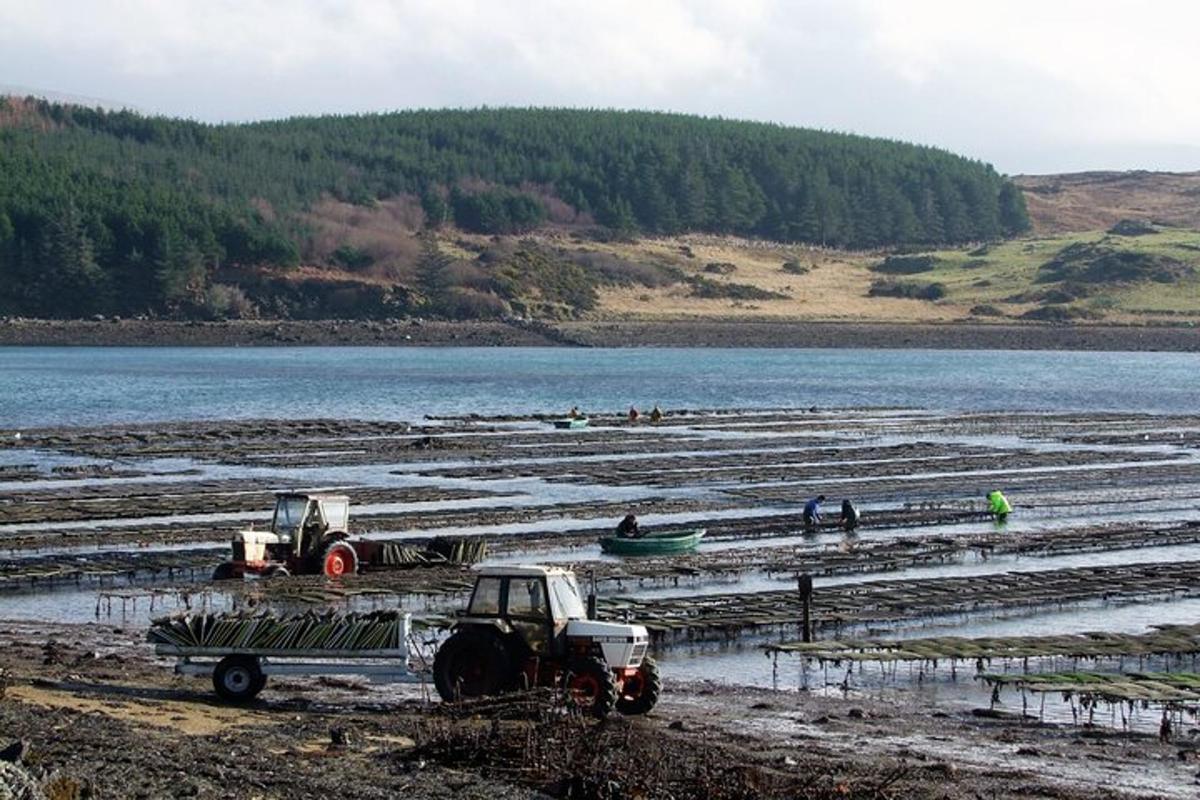 two tractors and a truck in a field next to a lake