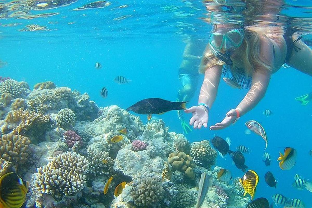 una donna nell'oceano che osserva una barriera corallina