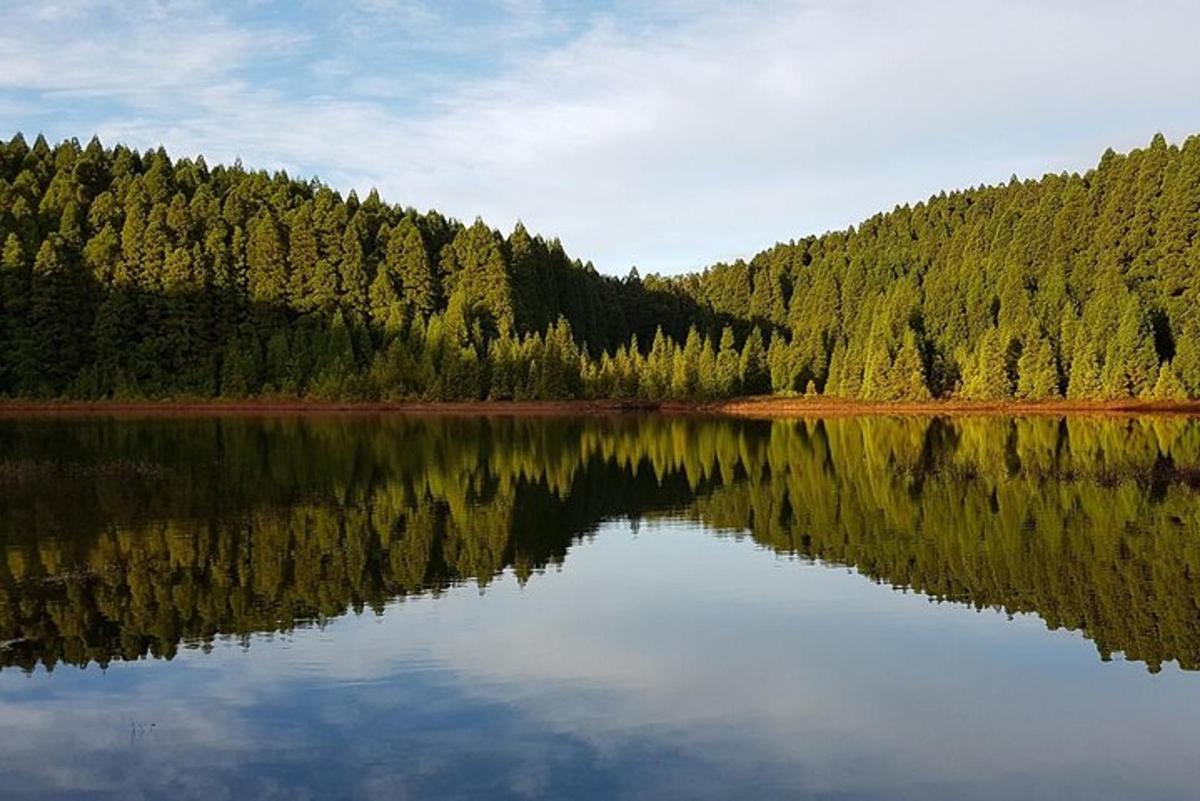 a reflection of a forest in a lake