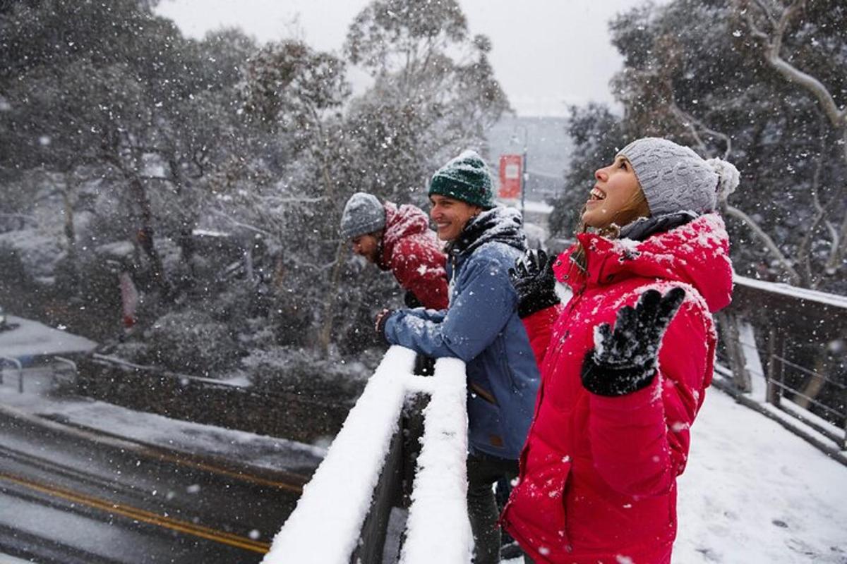 Un grupo de personas de pie en la nieve
