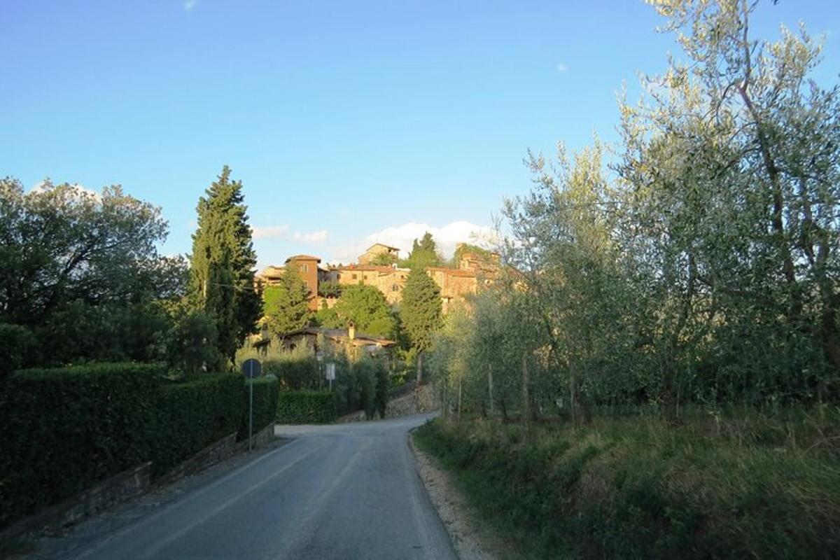 tee, mille ääres on hoone ja puud