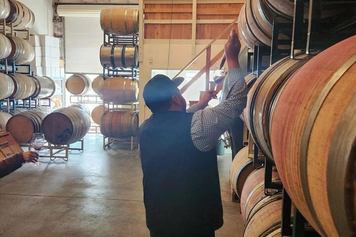 dois homens estão olhando para um monte de barris de vinho