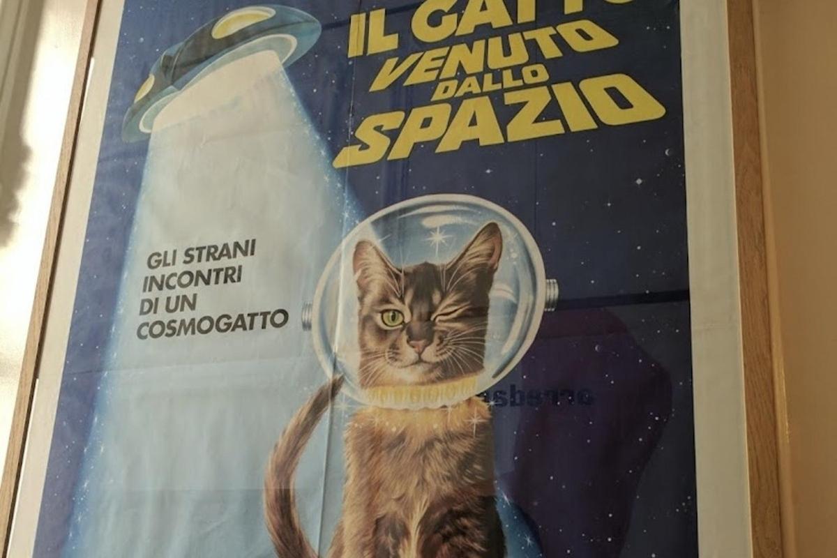 um pôster de um gato com um satélite na cabeça