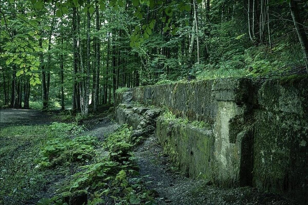 un muro de piedra en medio de un bosque