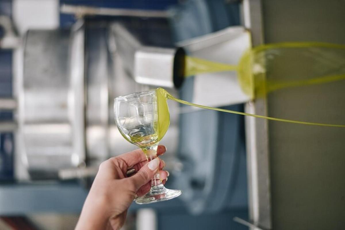 en person håller ett glas vin