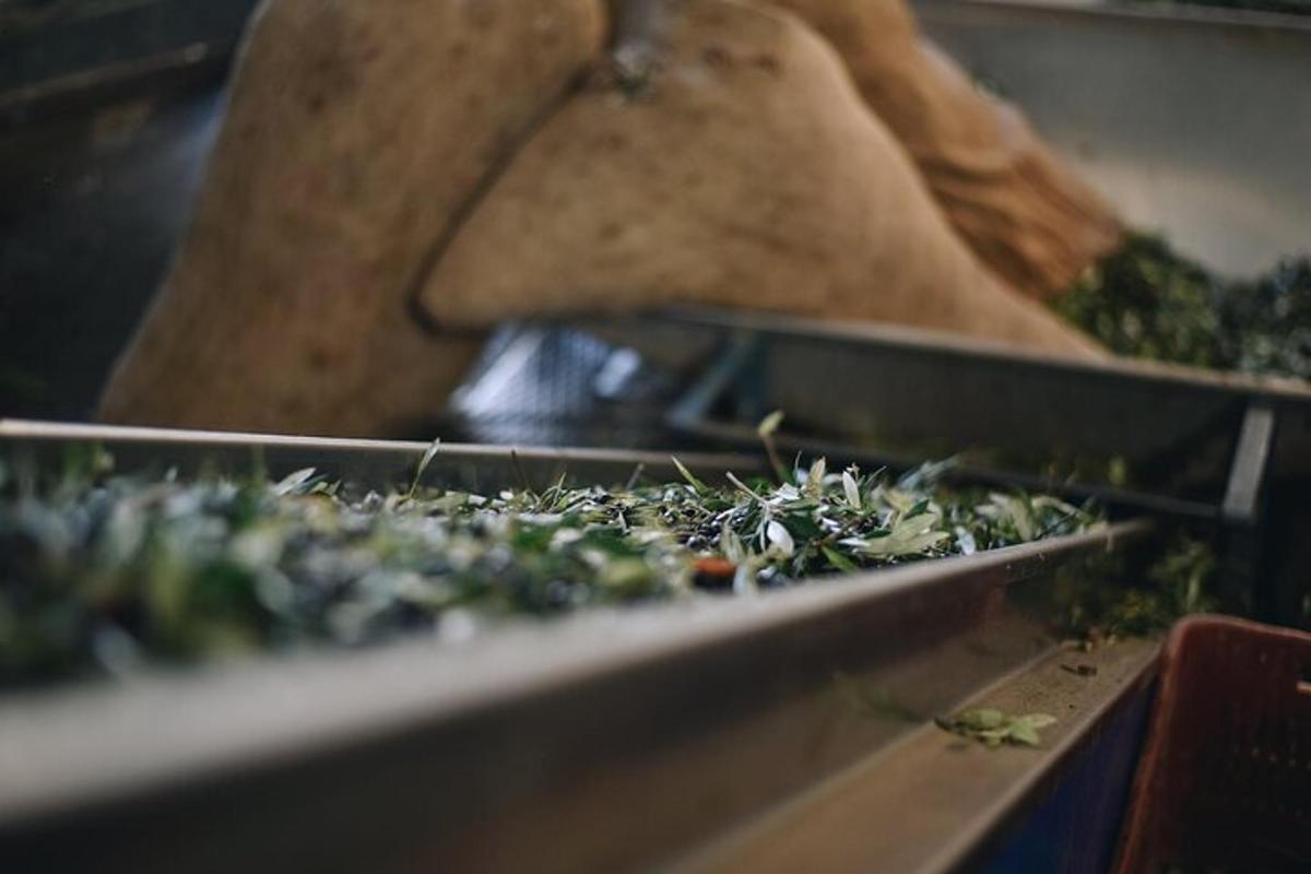 isang close up ng ilang pagkain sa isang conveyor belt