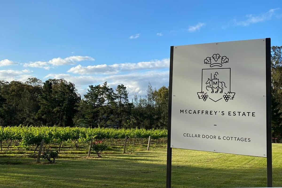 a sign in front of a field of vines