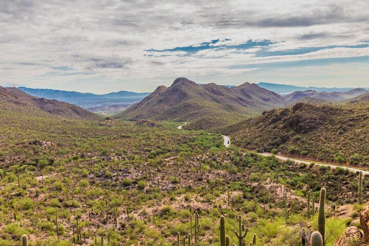 a view of a valley with mountains in the distance