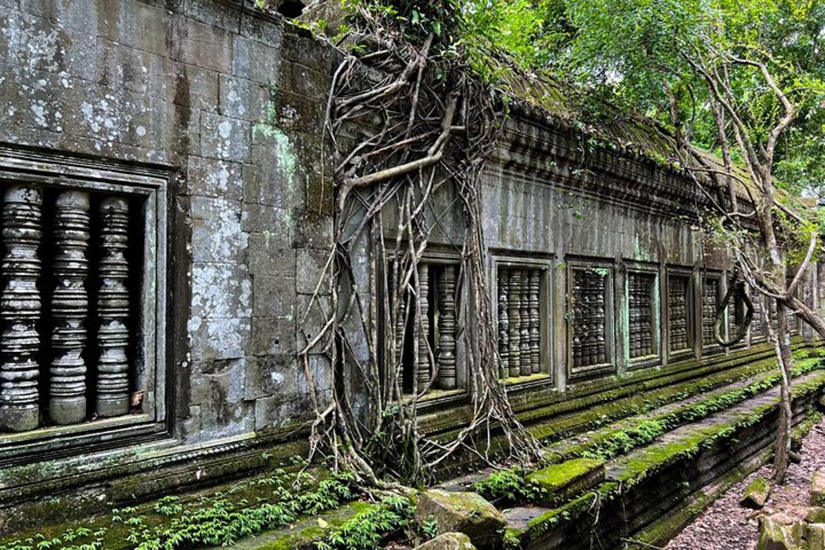 a building with trees growing on the side of it