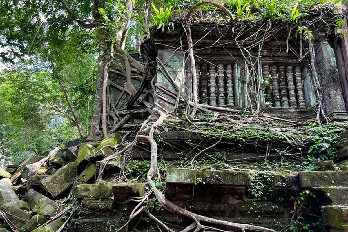 a building with vines growing on the side of it
