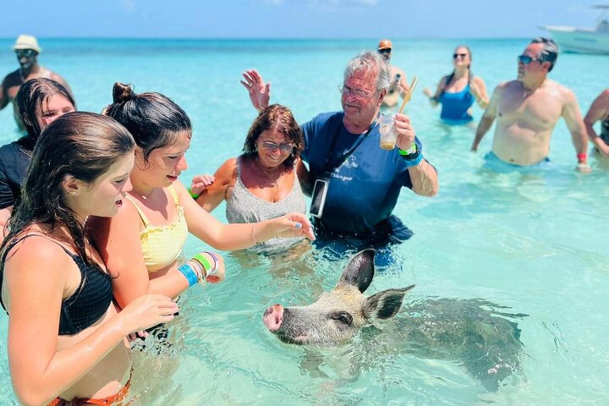a group of people in the water with a pig