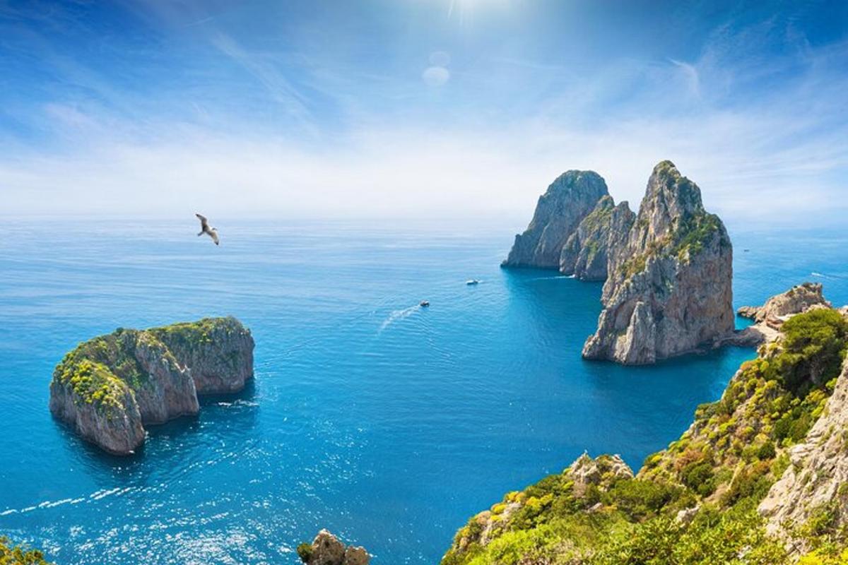 a bird flying over the ocean near some rocks