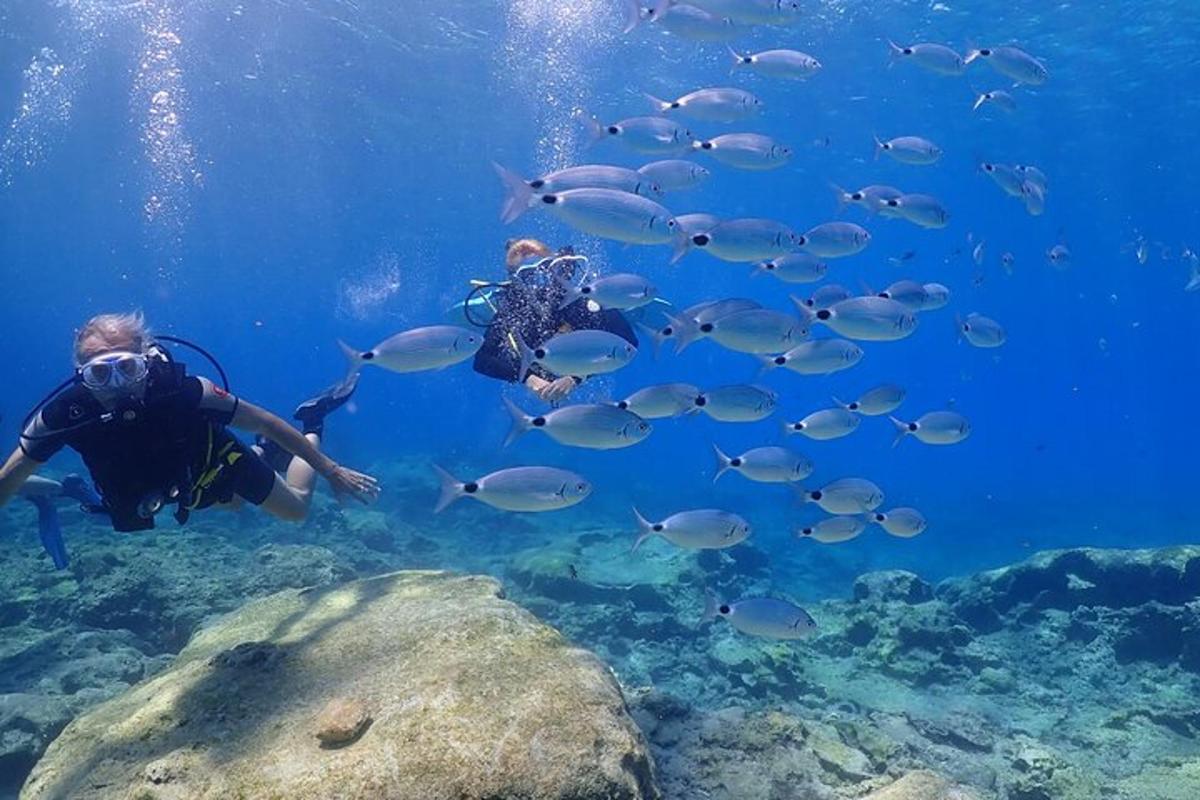 dua orang di dalam air dengan sekelompok ikan