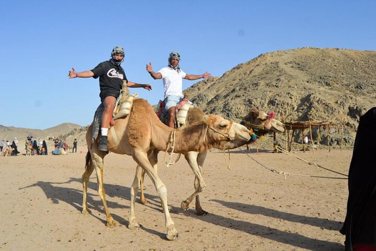 two men riding on the back of a camel