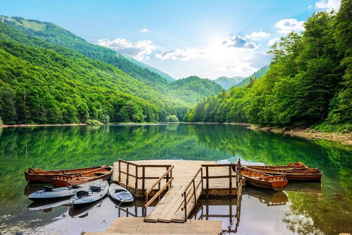a group of boats parked at a dock on a river