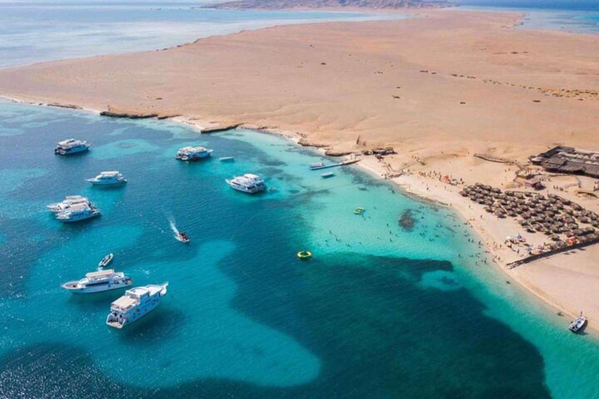 مجموعة من القوارب في الماء بجوار الشاطئ