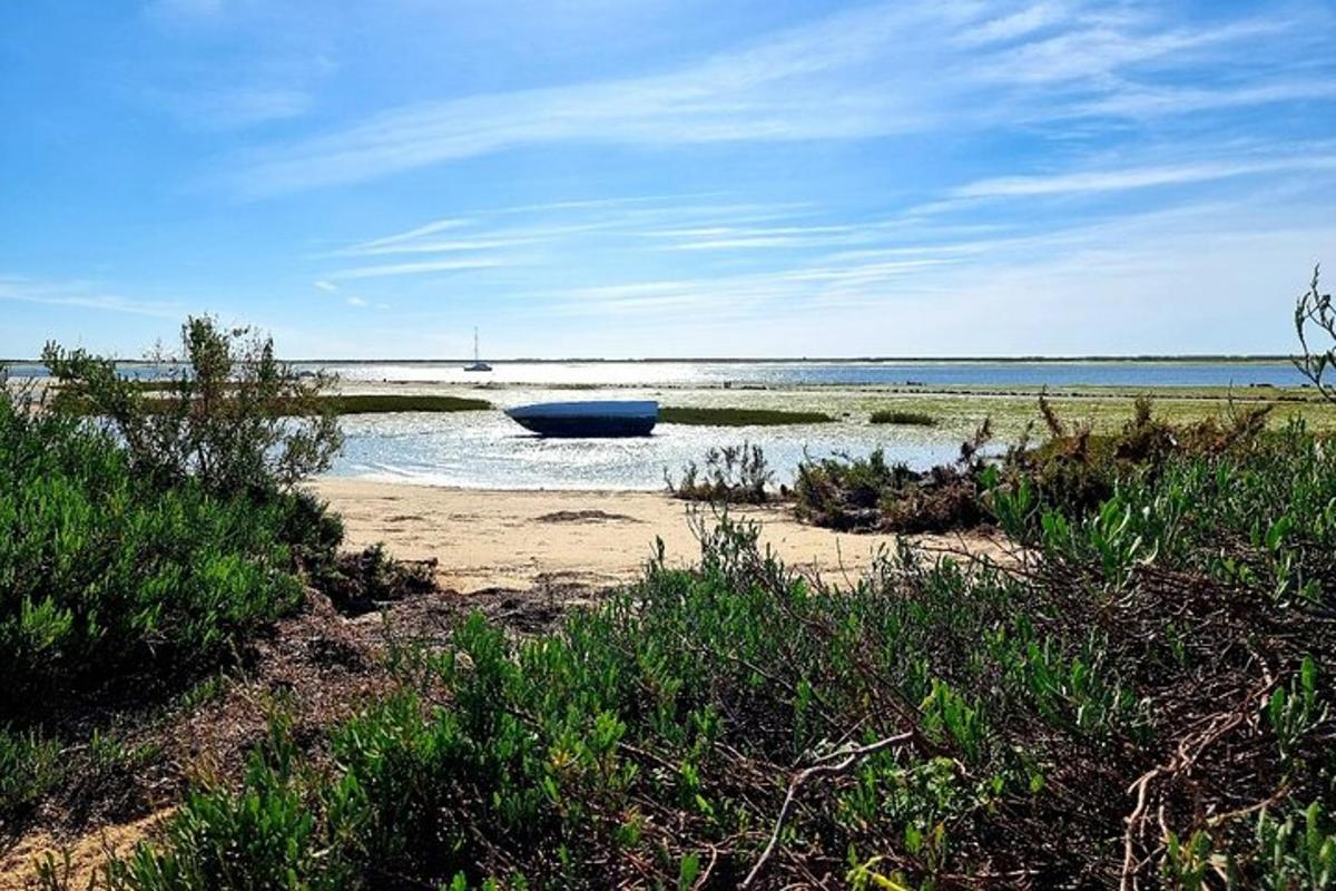 un barco en el agua en una playa