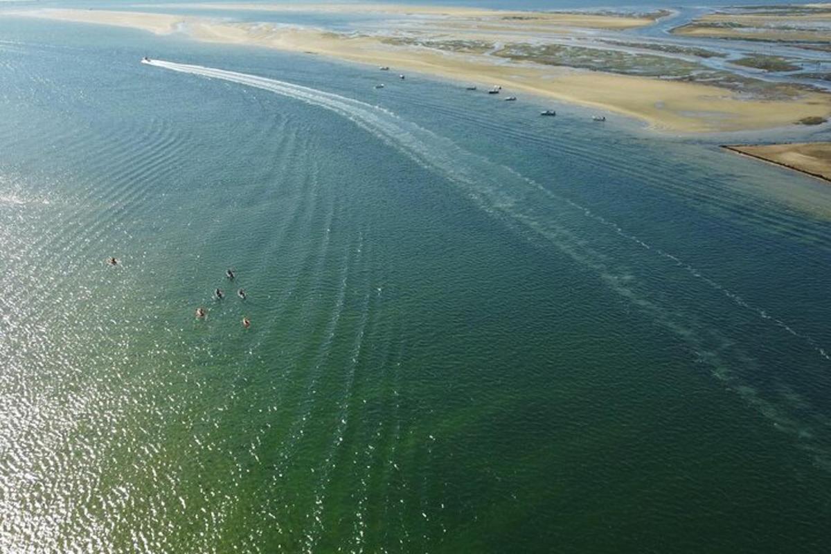 a group of people swimming in the water near a beach