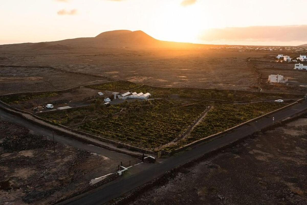 una isla en medio de un desierto con una carretera