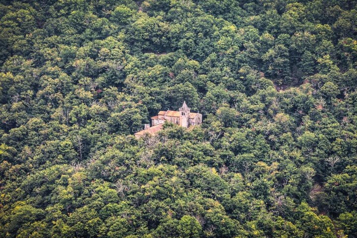 o casă veche pe un deal în mijlocul pădurii