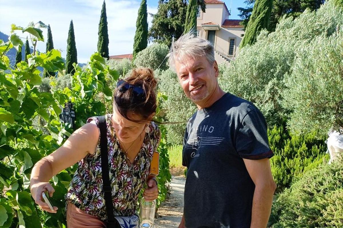 a man and a woman standing in a vineyard