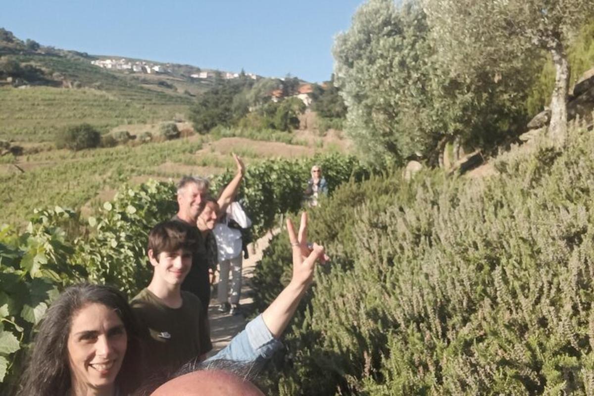 a group of people standing in a vineyard