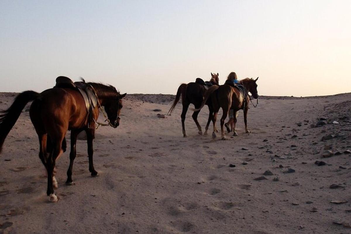 un grupo de caballos caminando por el desierto