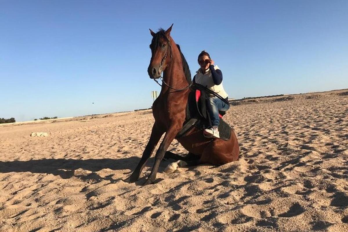 a person riding a horse on the beach