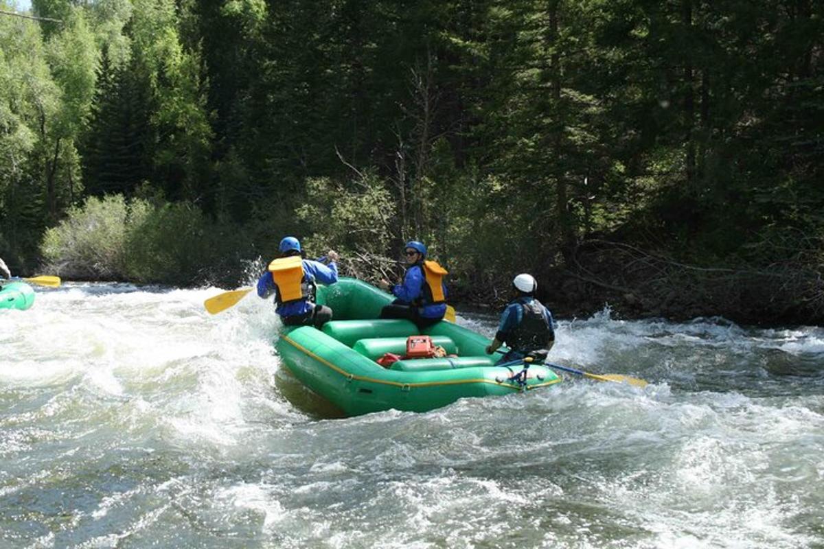 un grup de persones en una bassa en un riu