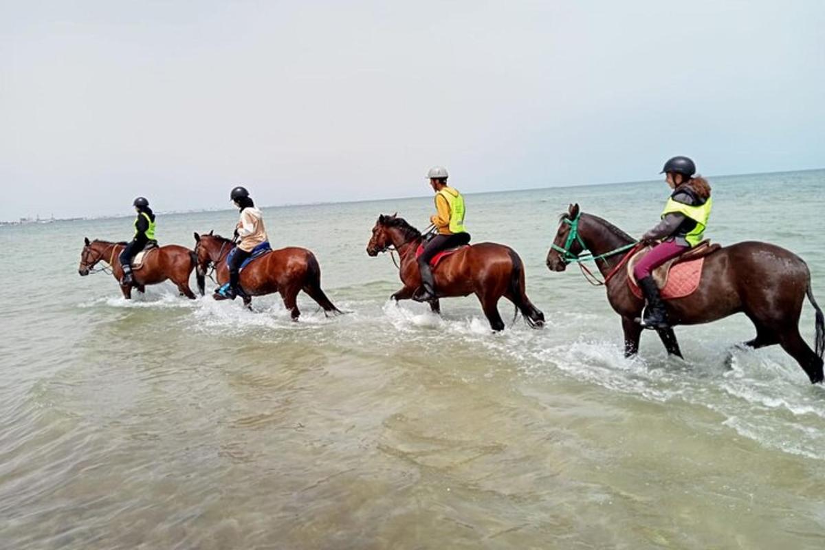 a group of people riding horses on the beach