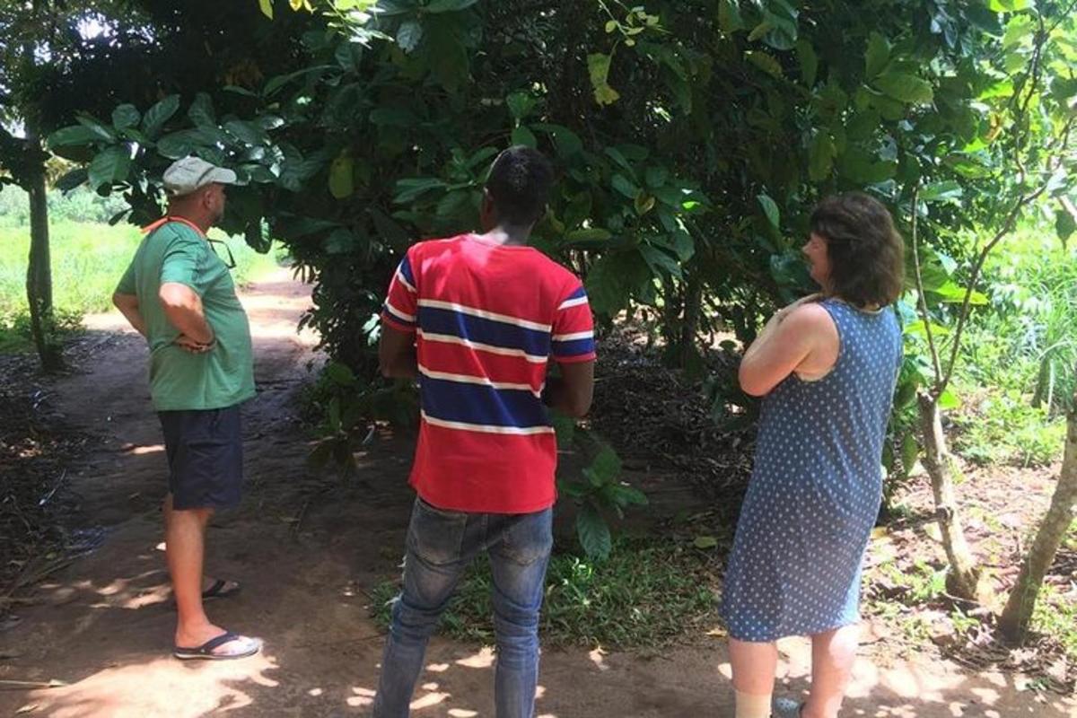 sekumpulan tiga orang berdiri di sebelah pokok
