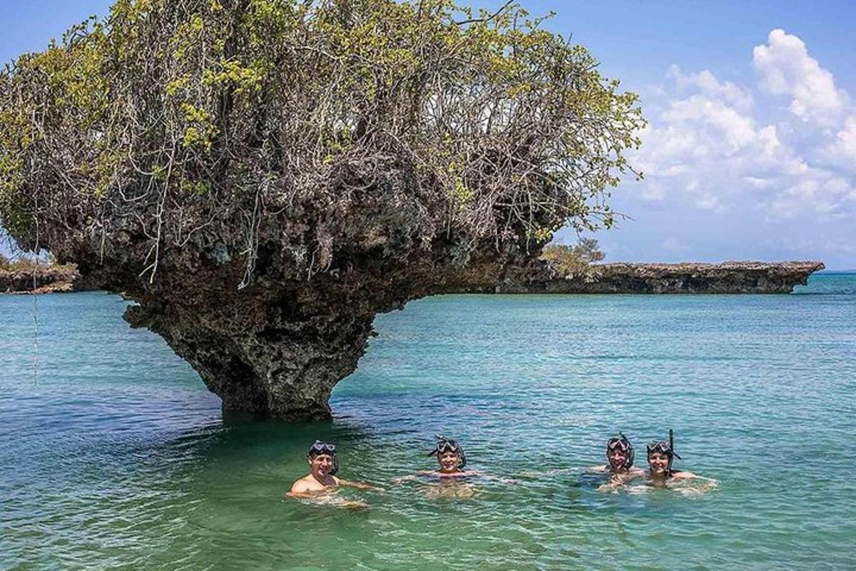 a group of people swimming in the water near an island