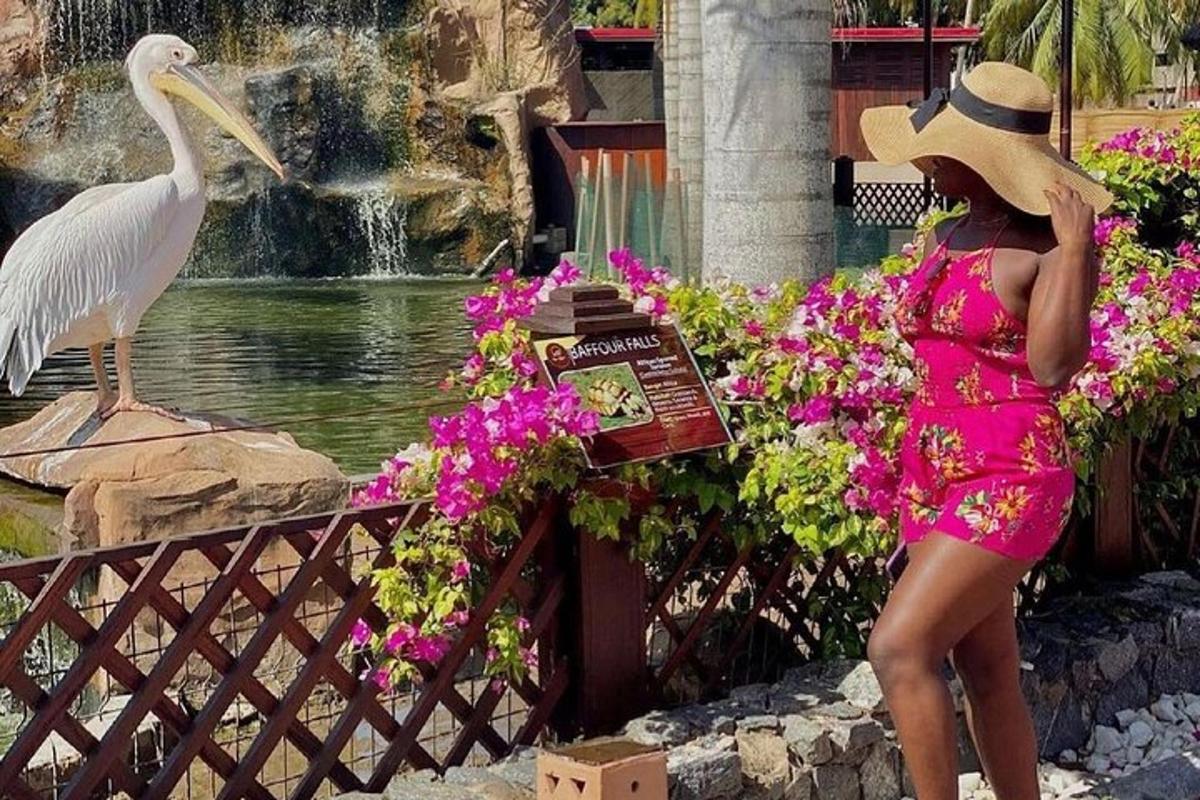 a woman in a pink dress looking at a bird by a fountain